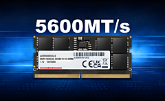 DDR5 5600 Memory GOIDs