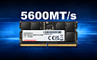 DDR5 5600 Memory GOIDs